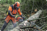 HUSQVARNA 550 XP® Mark II