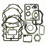 STENS #480-008 GASKET SET Briggs & Stratton 491856, Briggs & Stratton 495868