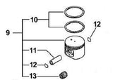 P021002791 ECHO Piston Assembly Chainsaw CS-670 CSG-680 QV-670 P021002790